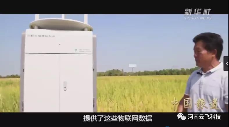 新華社《中國(guó)糧道》報(bào)道|云飛植保信息化系統(tǒng)在安徽科學(xué)院示范基地的應(yīng)用