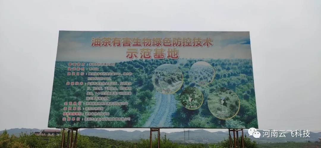 湖南耒陽(yáng)市油茶示范基地利用云飛自清蟲殺蟲燈綠色殺蟲