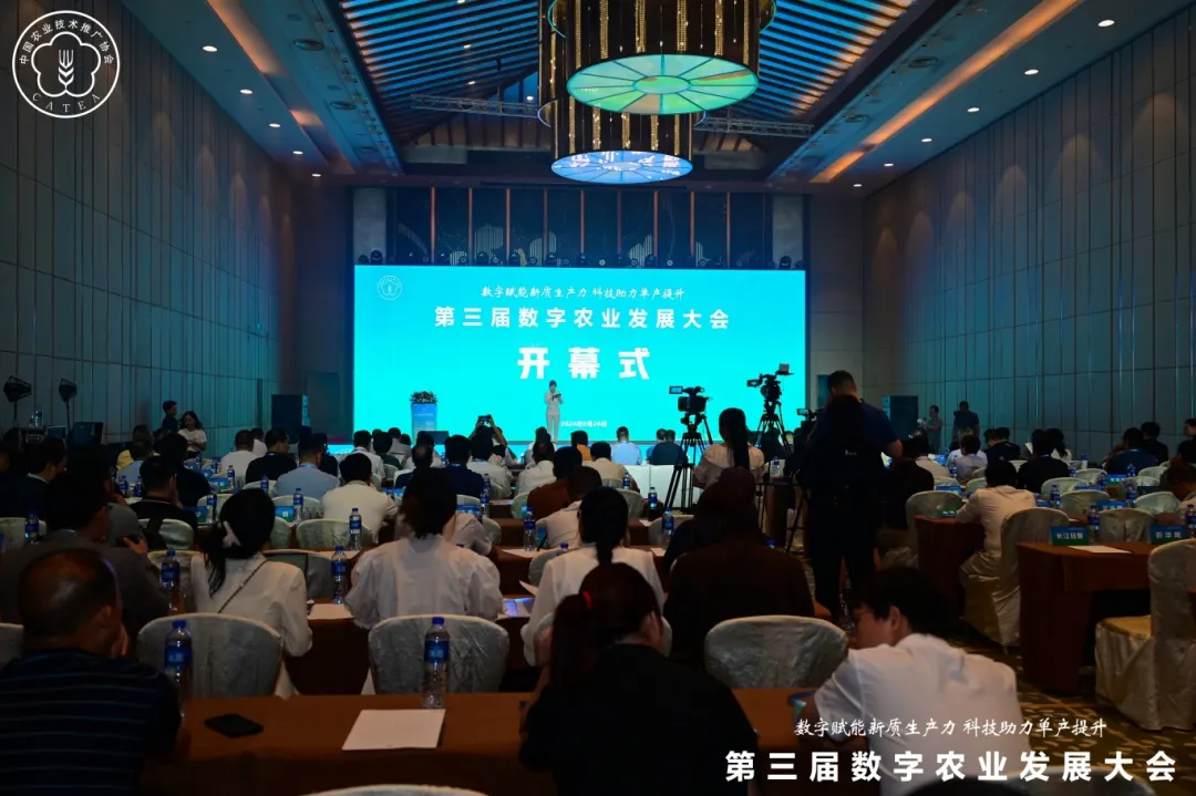 wƼAIxOyAgWҫÔrIlչ