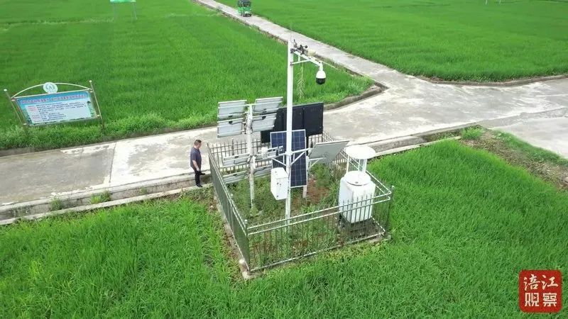 ÿƼoÿһrwƼL͡SՈD