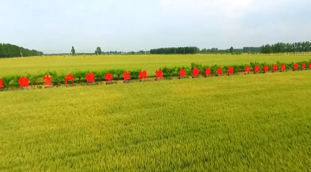 ߘ˜rģξƪһ֙CͷNأǻwoSգ