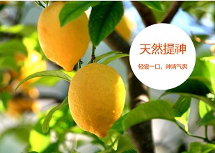 經過太陽能殺蟲燈防治后的檸檬