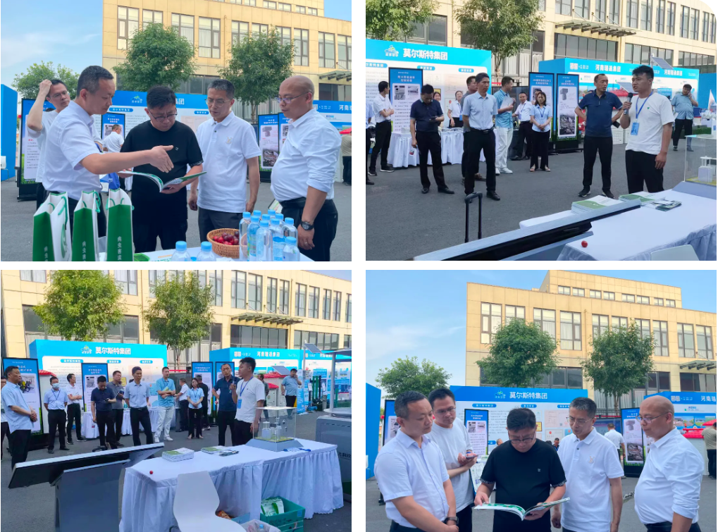 wƼӺʡߘ˜rｨO“Ͷڽ\”Ӗ»ba茦ӕ