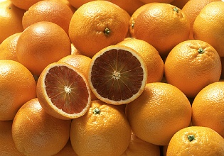 經過太陽能殺蟲燈防治后的紅橙