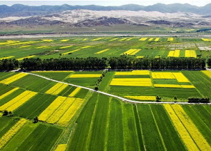 農業(yè)物聯網