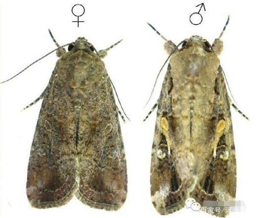 ηֱݵ؝ҹꣿһƬͿԣ