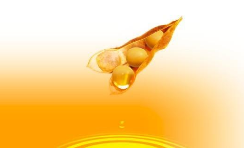 豆油期貨波動一個點多少錢？豆油期