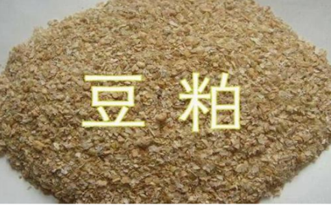 怎么享受優(yōu)惠手續(xù)費(fèi)？豆粕期平今倉