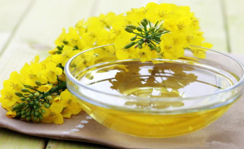 鄭商所菜籽油期貨的基礎(chǔ)知識