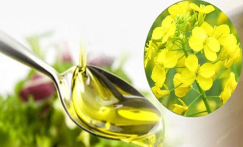 菜粕期貨買入手續(xù)費支出額度低嗎？