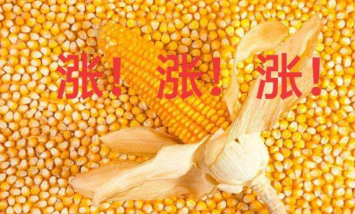 玉米期貨開戶要驗資嗎？為何不能買