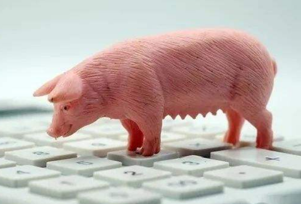 生豬期貨是什么？做一手生豬期貨最