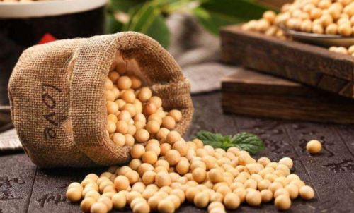 什么是豆粕期貨？豆粕期貨標(biāo)的物介