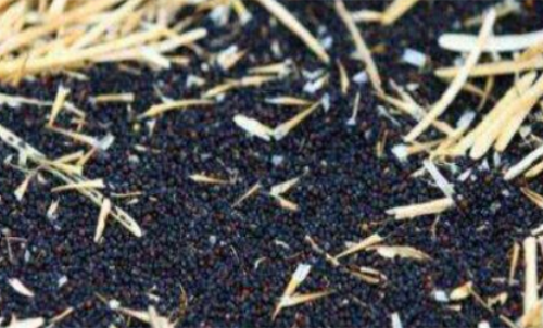 新手計算菜粕期貨的手續(xù)費簡單嗎？