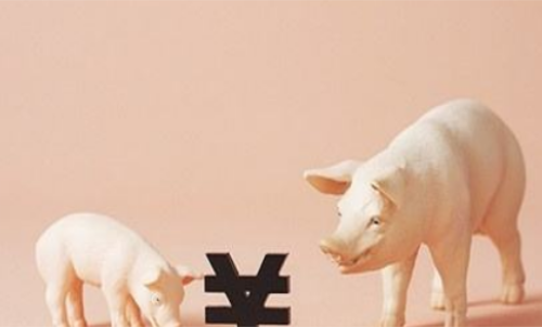 一手生豬期貨交易成本要多少錢？保