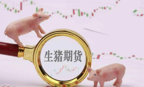 生豬期貨未來走勢將會如何？生豬期
