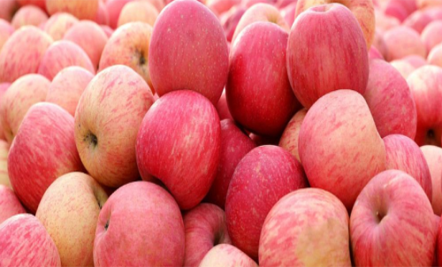 蘋果期貨是什么？怎樣交易蘋果期貨